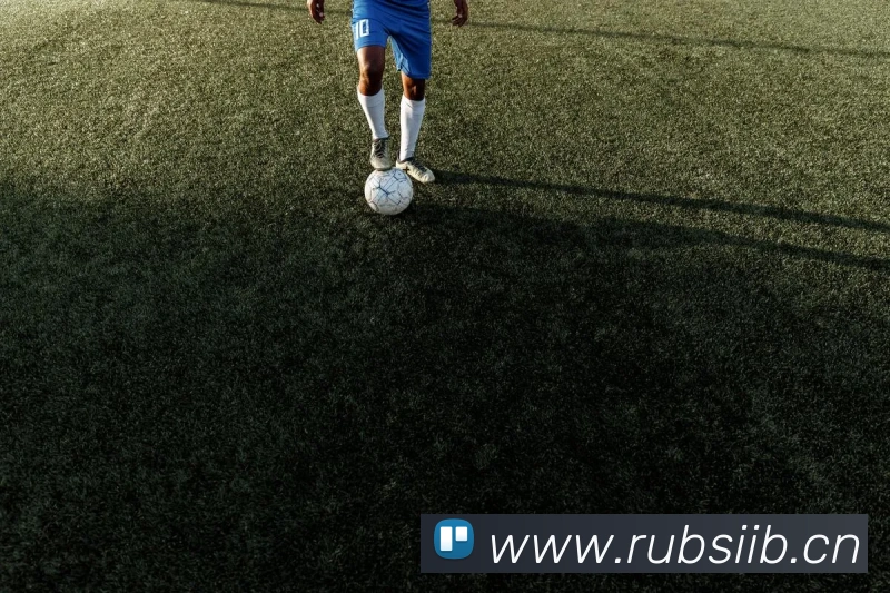 开云手机在线官网登录APP 封面图